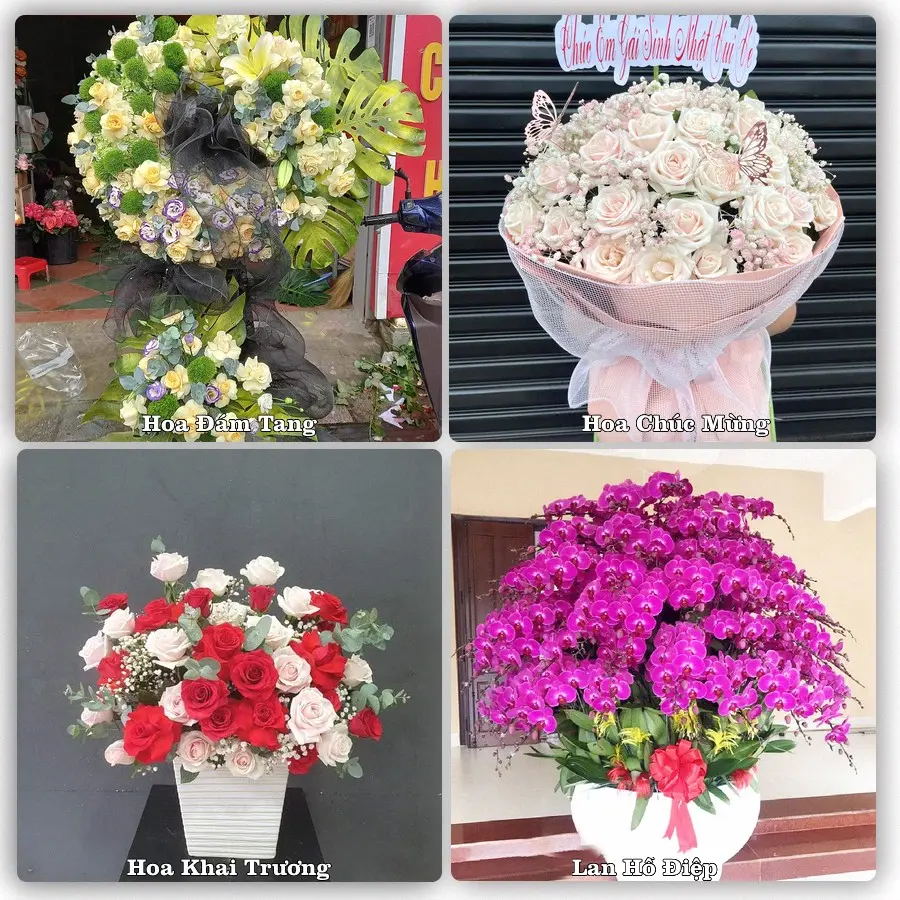 Tư vấn chọn hoa theo người nhận và dịp tặng tại Xã Nông Cống - Tỉnh Thanh Hóa