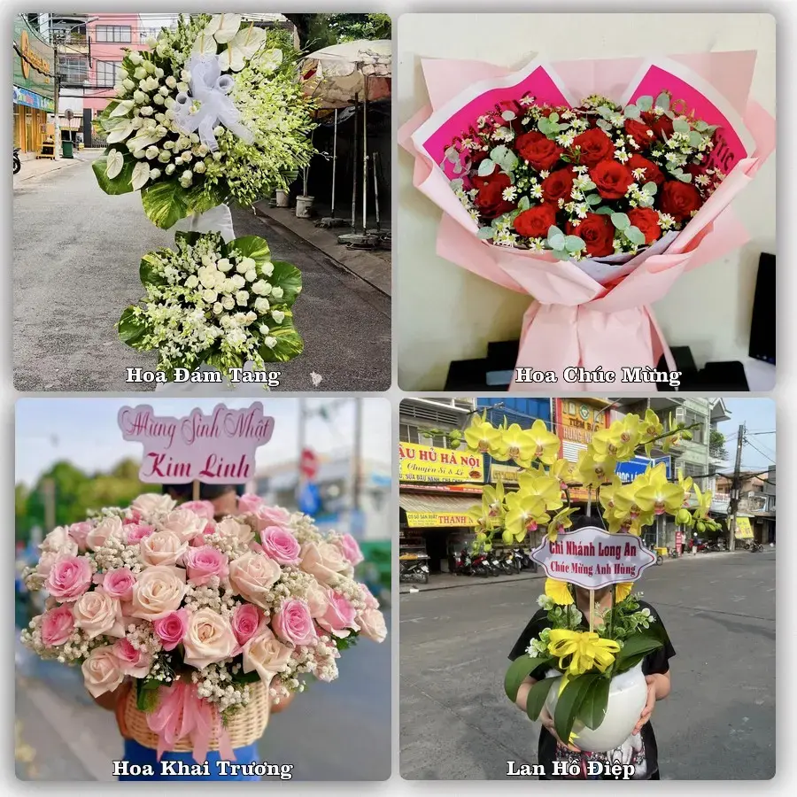 Giao hoa tươi tại Phường Quỳnh Mai, Nghệ An – đặt mẫu online