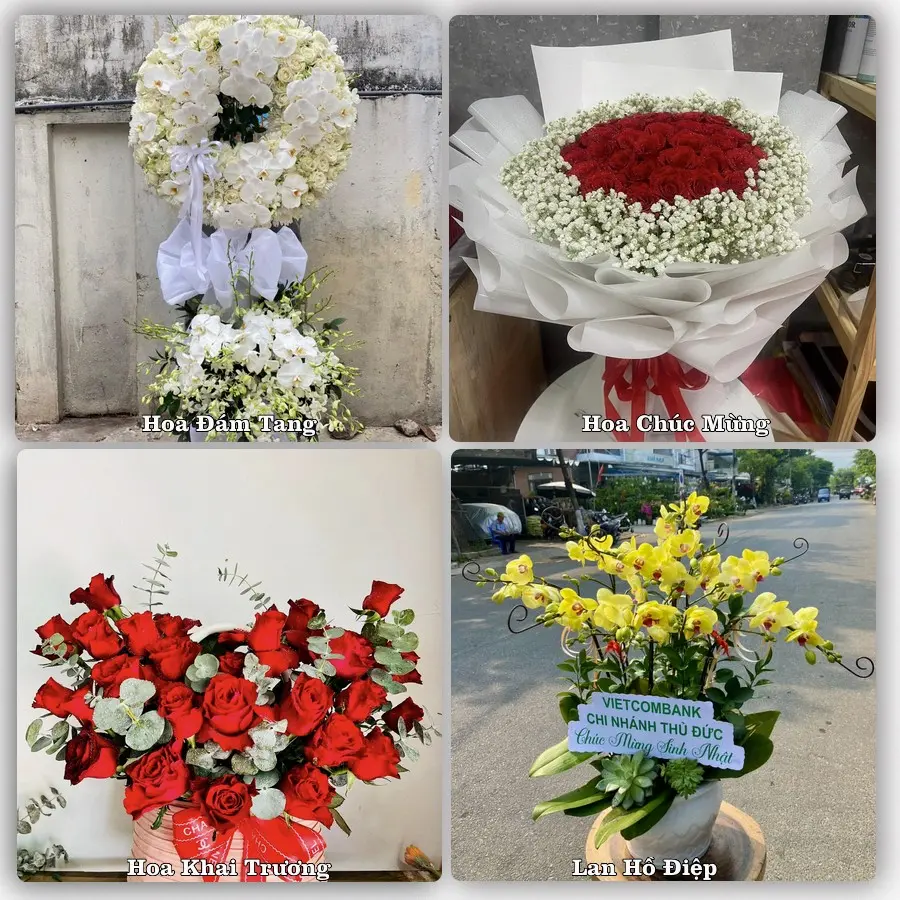 Tư vấn chọn hoa theo người nhận và dịp tặng tại Phường Quỳnh Mai - Tỉnh Nghệ An