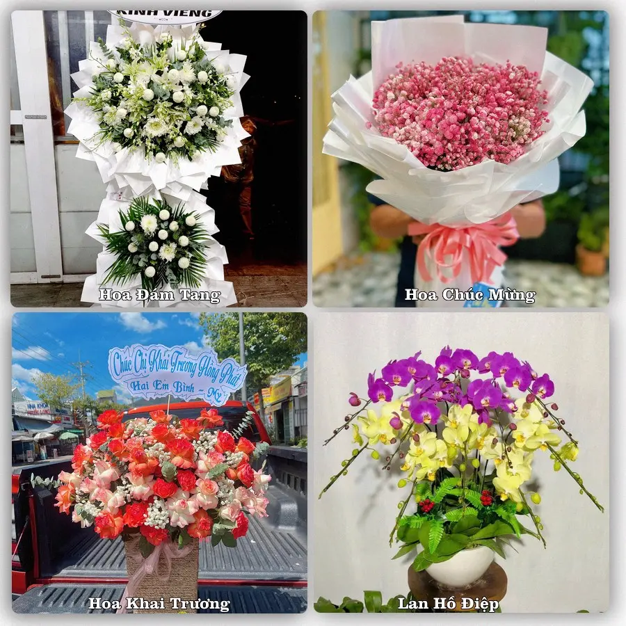 Dịch vụ đặt hoa và giao tận nơi tại Xã Tam Hưng - Thành phố Hà Nội