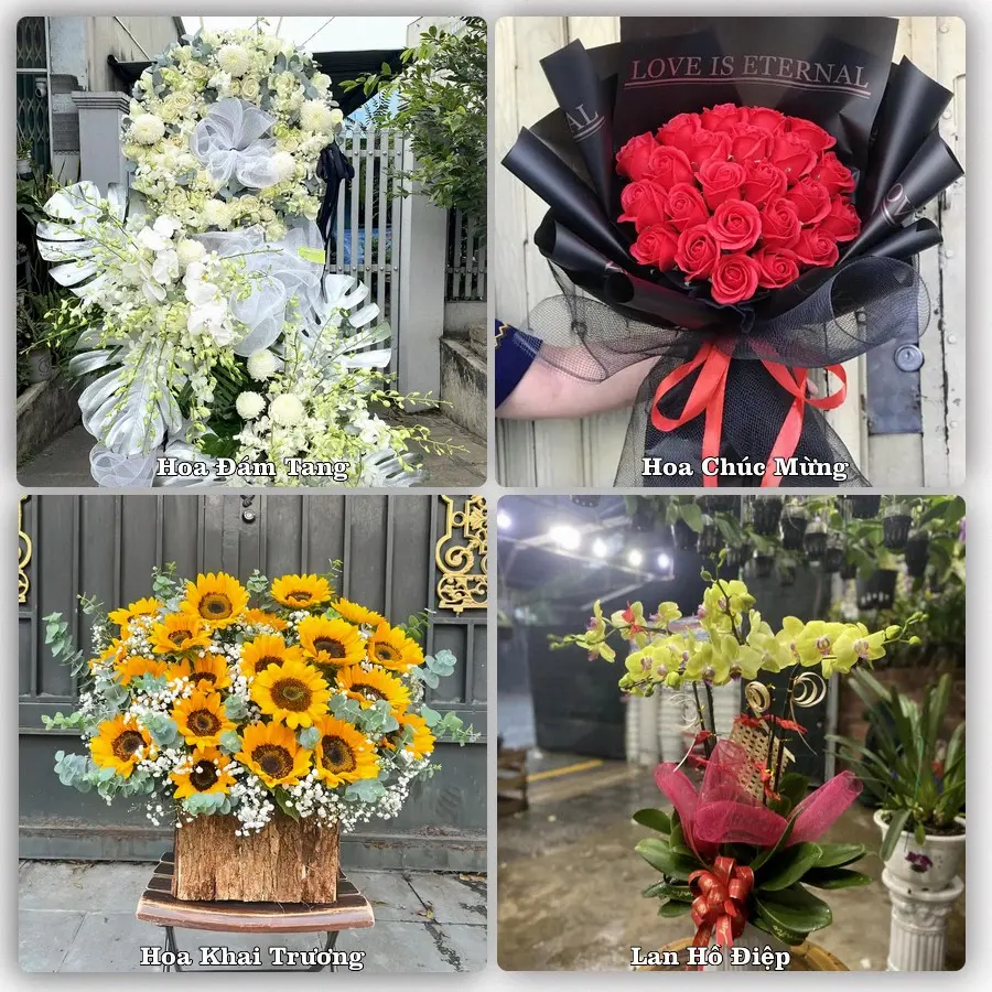 Mẫu hoa phục vụ nhu cầu đặt hoa tại Xã Tam Hưng - Thành phố Hà Nội