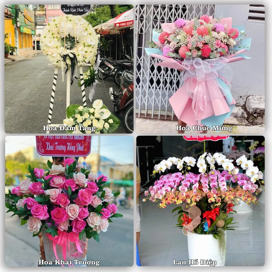 Tư vấn chọn hoa theo người nhận và dịp tặng tại Xã Tân Yên - Tỉnh Bắc Ninh