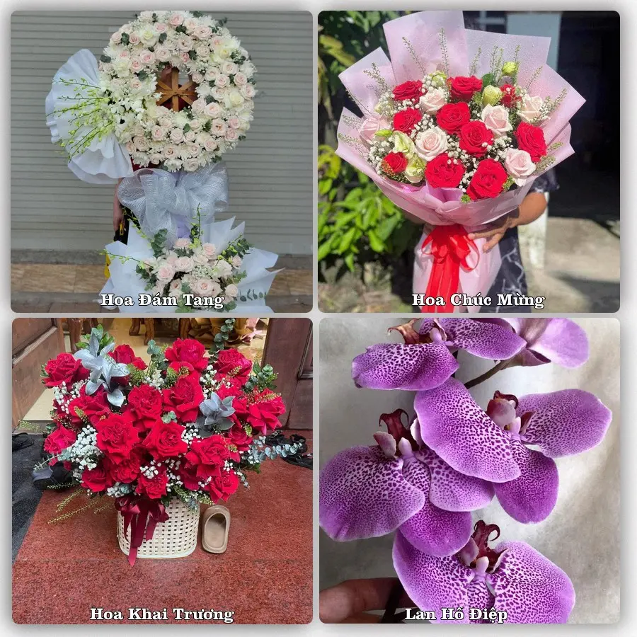 Tư vấn chọn hoa theo người nhận và dịp tặng tại Phường Thường Lạc - Tỉnh Đồng Tháp