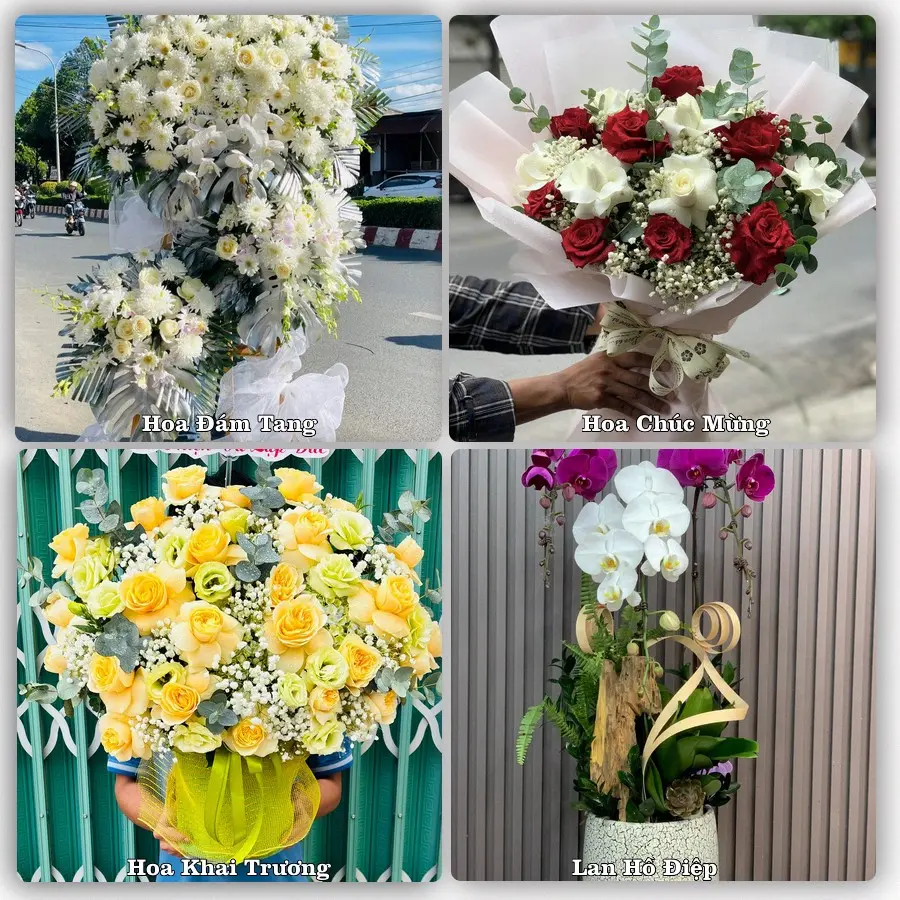 Tư vấn chọn hoa theo người nhận và dịp tặng tại Xã Tiến Thắng - Thành phố Hà Nội