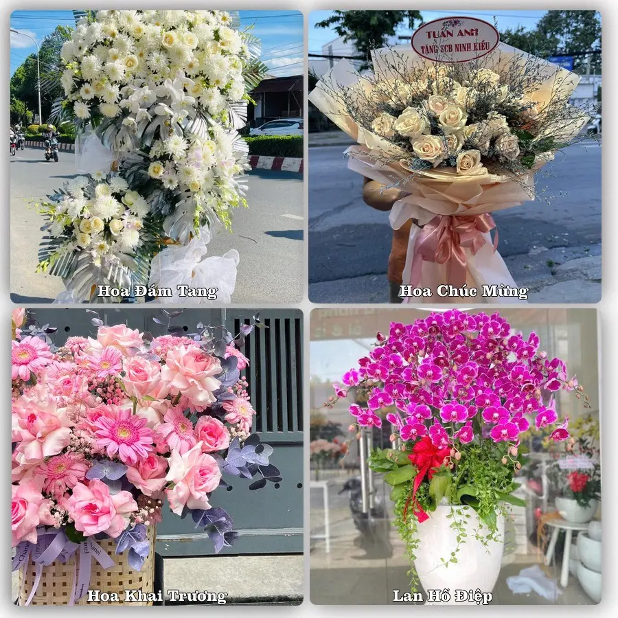 Tư vấn chọn hoa theo người nhận và dịp tặng tại Xã Châu Thành - Thành phố Cần Thơ