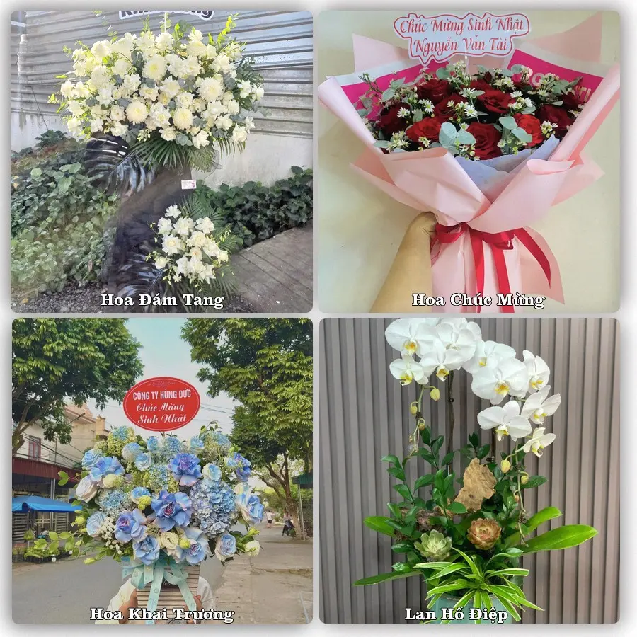 Mẫu hoa phục vụ nhu cầu đặt hoa tại Xã Đông Sơn - Tỉnh Quảng Ngãi