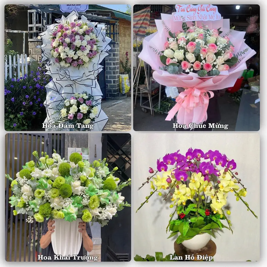 Tư vấn chọn hoa theo người nhận và dịp tặng tại Xã Giao Thuỷ - Tỉnh Ninh Bình