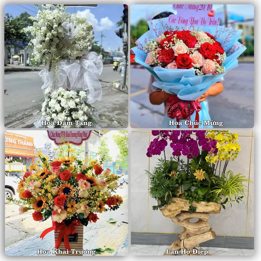 Mẫu hoa phục vụ nhu cầu đặt hoa tại Xã Hoàn Long - Tỉnh Hưng Yên