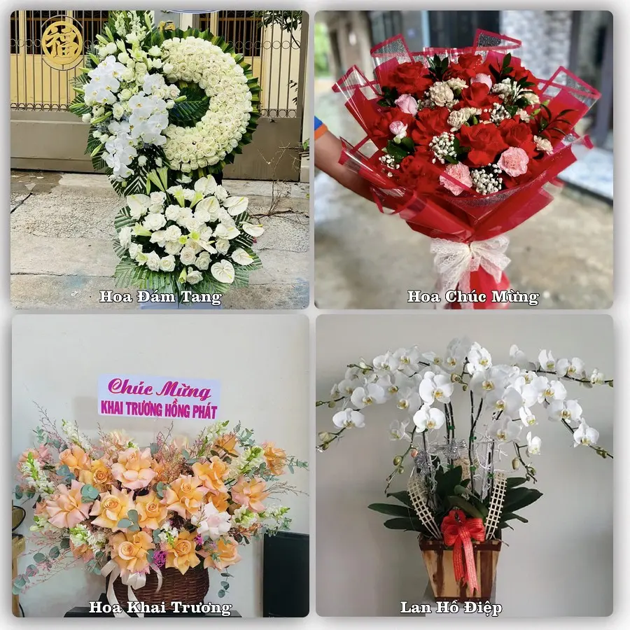 Tư vấn chọn hoa theo người nhận và dịp tặng tại Xã Hoàn Long - Tỉnh Hưng Yên