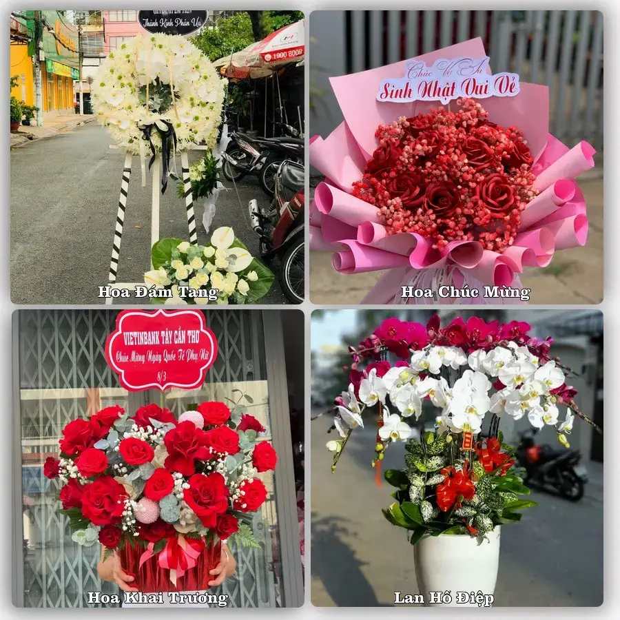 Tư vấn chọn hoa theo người nhận và dịp tặng tại Xã Hội Cư - Tỉnh Đồng Tháp