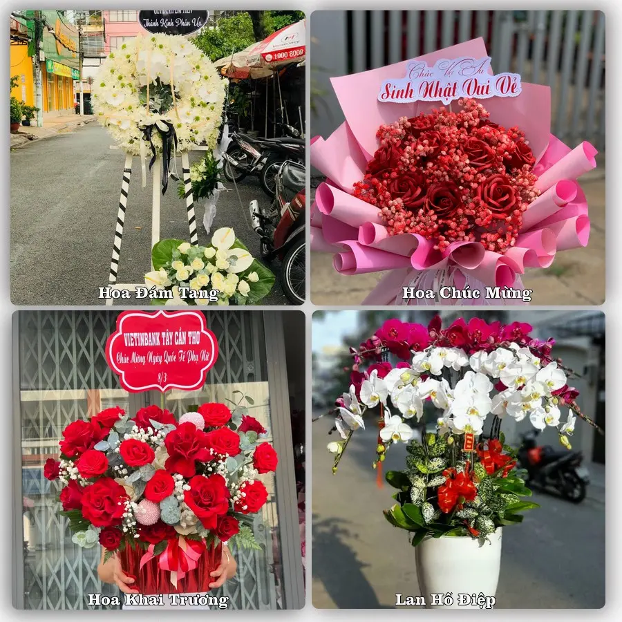 Tư vấn chọn hoa theo người nhận và dịp tặng tại Xã Hội Cư - Tỉnh Đồng Tháp