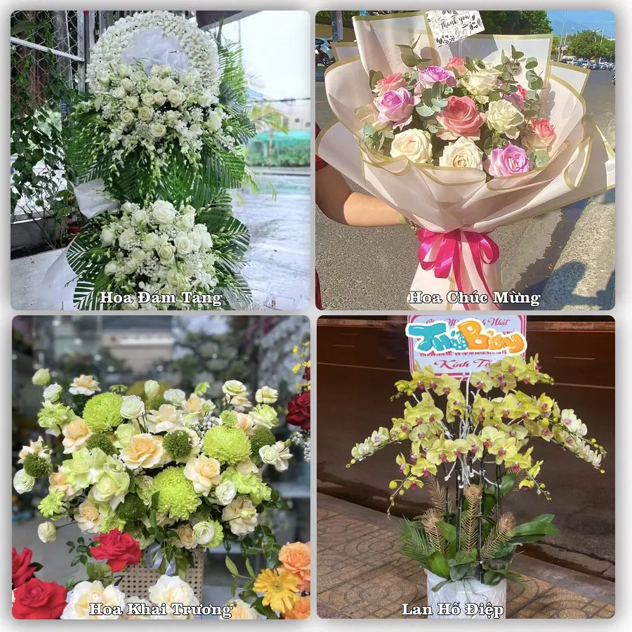 Tư vấn chọn hoa theo người nhận và dịp tặng tại Phường Long Hương - Thành phố Hồ Chí Minh
