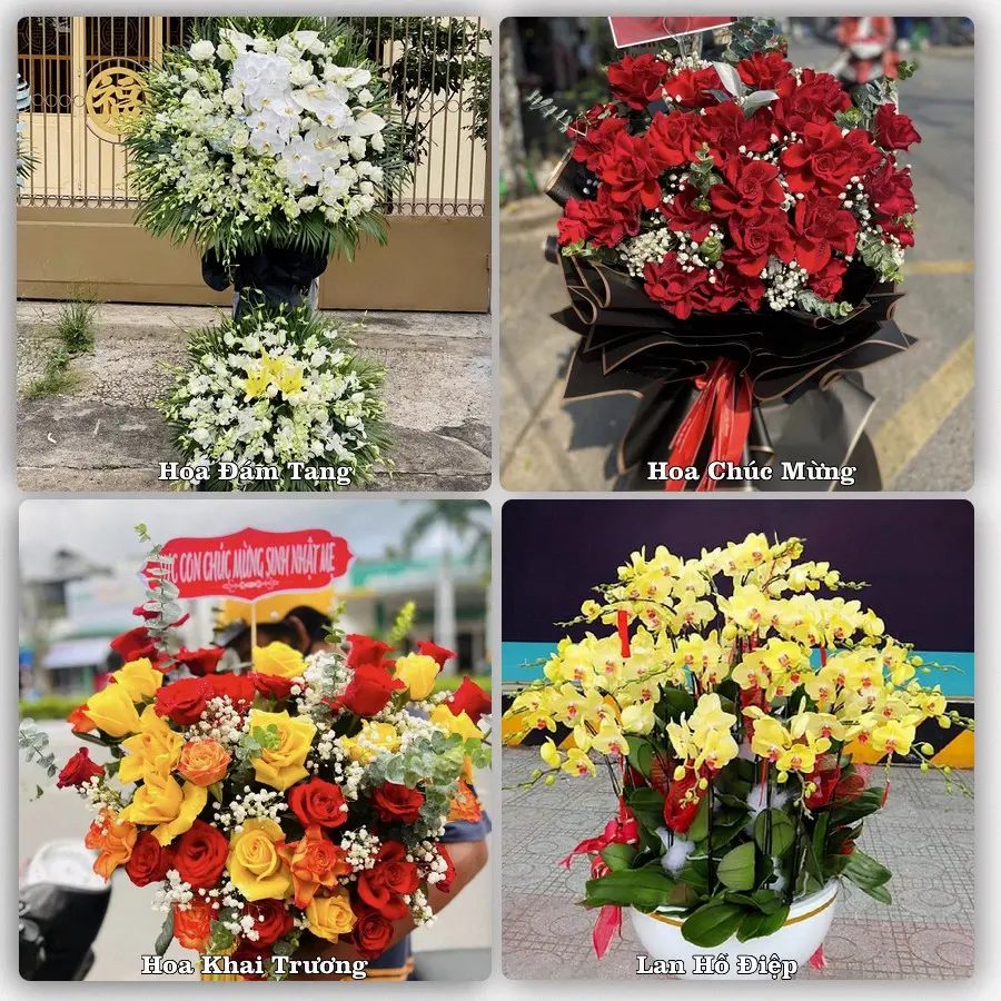 Mẫu hoa phục vụ nhu cầu đặt hoa tại Phường Mỹ Thới - Tỉnh An Giang