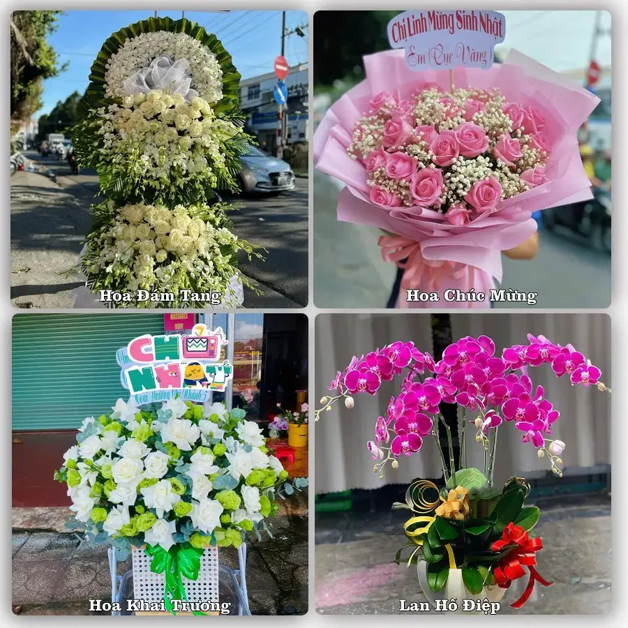 Tư vấn chọn hoa theo người nhận và dịp tặng tại Phường Mỹ Thới - Tỉnh An Giang