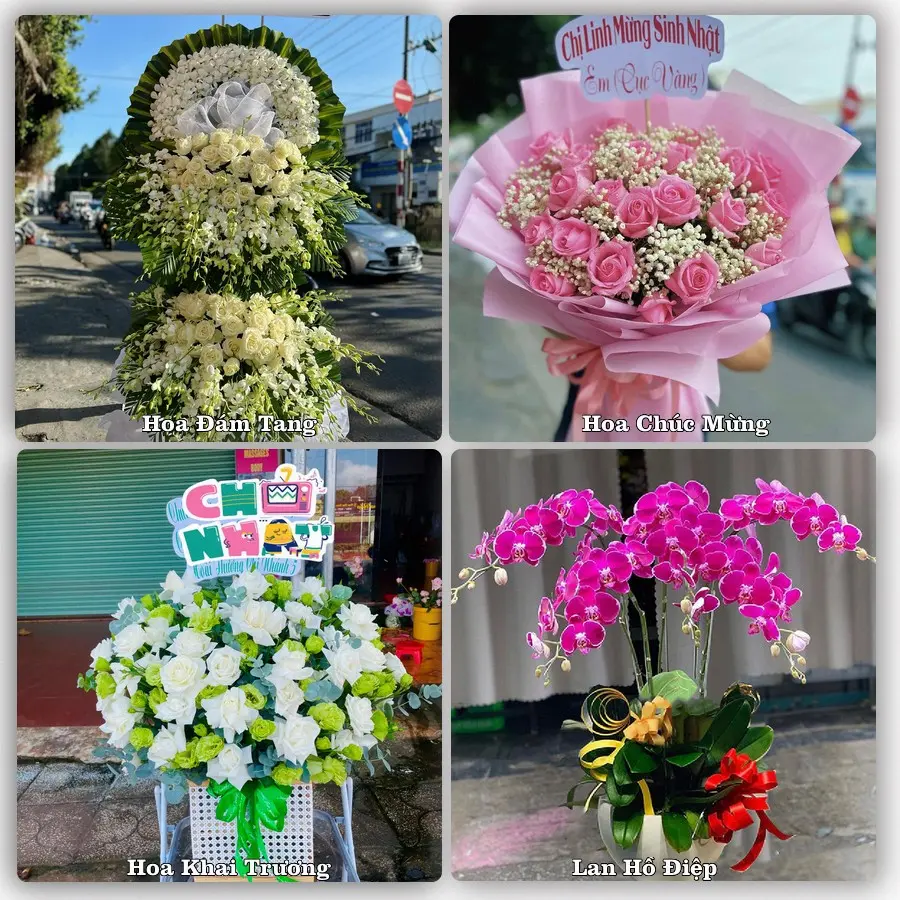 Tư vấn chọn hoa theo người nhận và dịp tặng tại Phường Mỹ Thới - Tỉnh An Giang