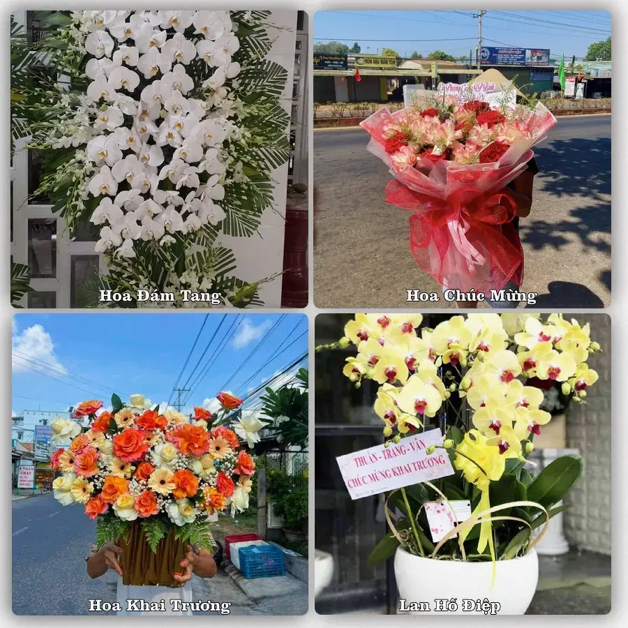 Shop hoa tươi Phường Tây Nam, Hồ Chí Minh – đặt hoa theo dịp, giao tận nơi