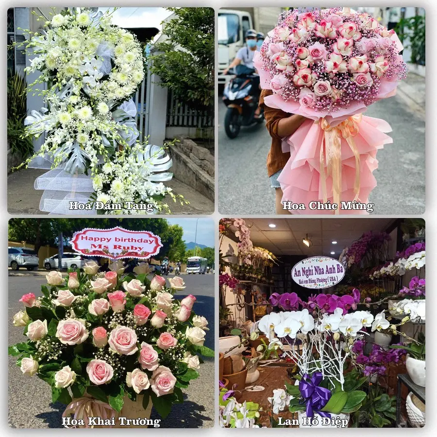 Tư vấn chọn hoa theo người nhận và dịp tặng tại Phường Tây Nam - Thành phố Hồ Chí Minh
