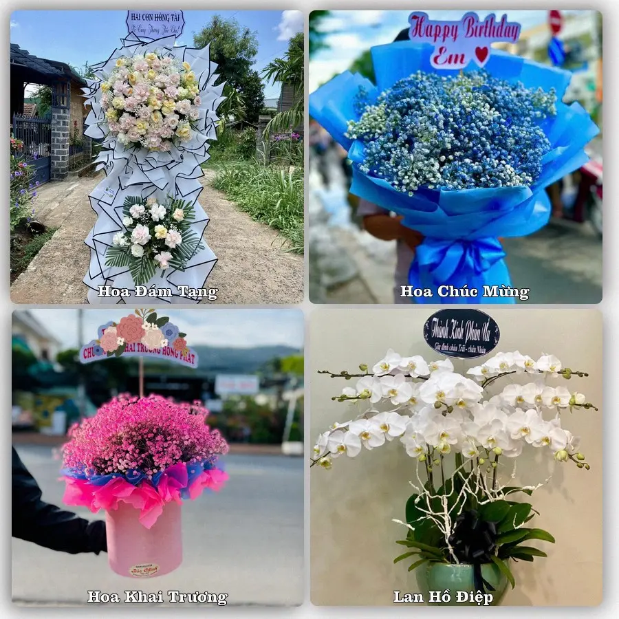 Mẫu hoa phục vụ nhu cầu đặt hoa tại Phường Trà Câu - Tỉnh Quảng Ngãi