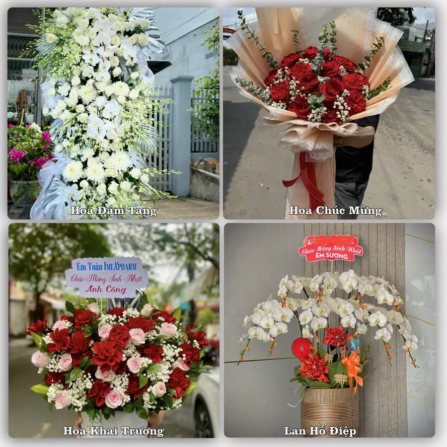 Tư vấn chọn hoa theo người nhận và dịp tặng tại Xã Tu Vũ - Tỉnh Phú Thọ