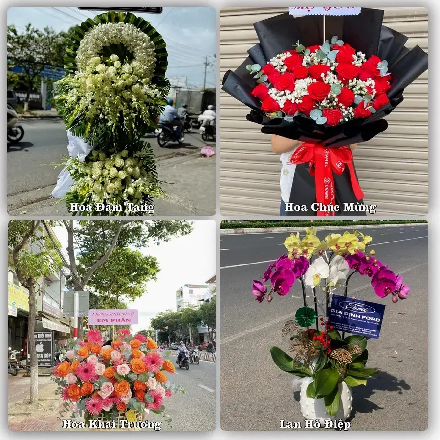 Dịch vụ đặt hoa và giao tận nơi tại Xã Vĩnh Thanh - Thành phố Hà Nội
