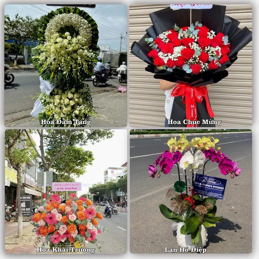 Dịch vụ đặt hoa và giao tận nơi tại Xã Vĩnh Thanh - Thành phố Hà Nội