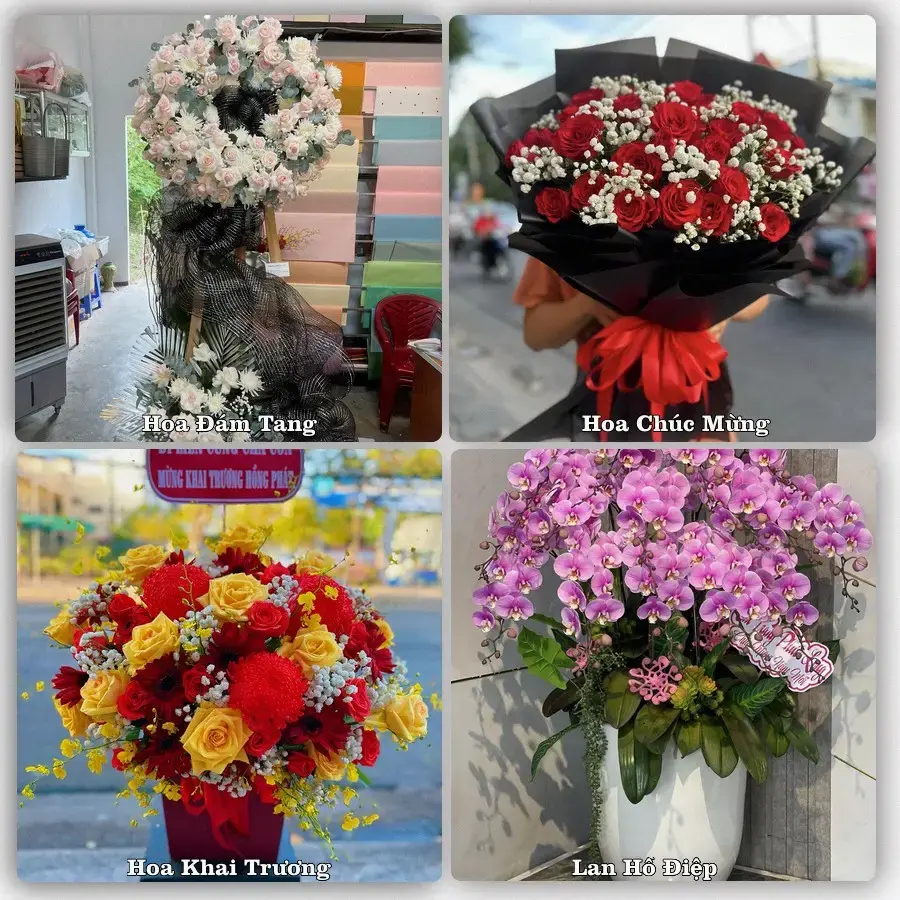 Shop hoa tươi Xã Vũ Thư, Hưng Yên – đặt hoa theo dịp, giao tận nơi