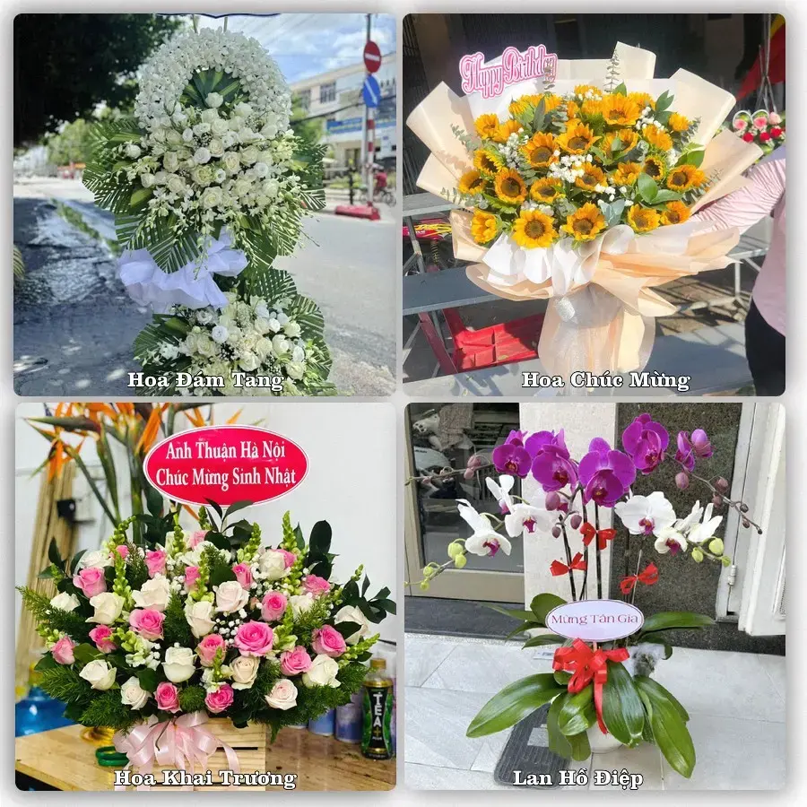Tư vấn chọn hoa theo người nhận và dịp tặng tại Phường Đào Viên - Tỉnh Bắc Ninh