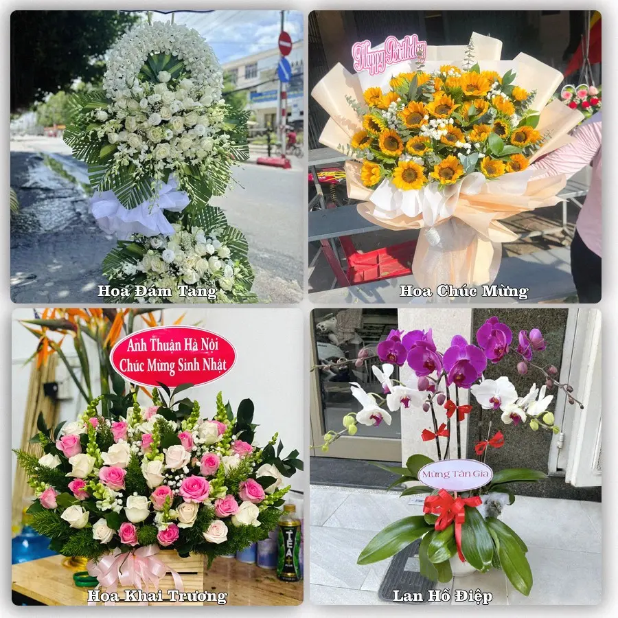 Tư vấn chọn hoa theo người nhận và dịp tặng tại Phường Đào Viên - Tỉnh Bắc Ninh