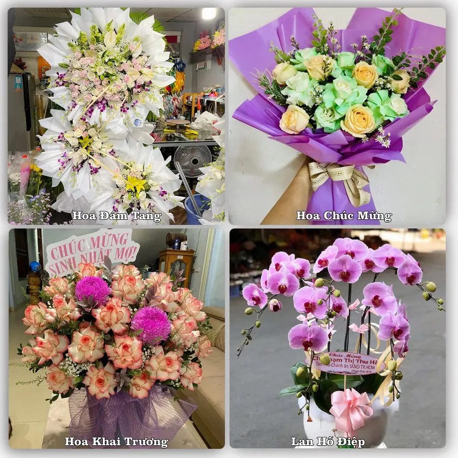 Mẫu hoa phục vụ nhu cầu đặt hoa tại Phường Đông Kinh - Tỉnh Lạng Sơn