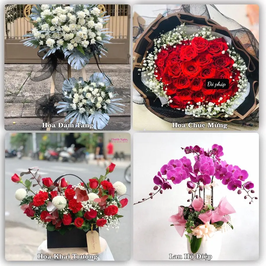 Tư vấn chọn hoa theo người nhận và dịp tặng tại Phường Đông Kinh - Tỉnh Lạng Sơn