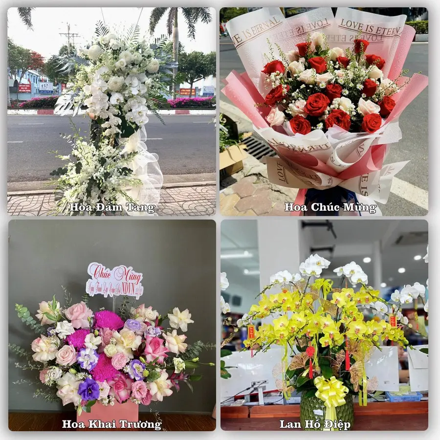 Tư vấn chọn hoa theo người nhận và dịp tặng tại Xã Giao Phúc - Tỉnh Ninh Bình
