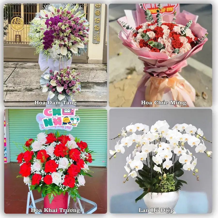 Shop hoa tươi Phường La Gi, Lâm Đồng – giao hoa tận nơi theo yêu cầu