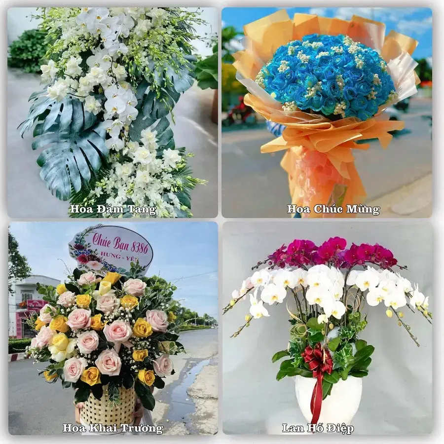 Shop hoa tươi Xã Mỹ Yên, Tây Ninh – giao hoa tận nơi theo yêu cầu