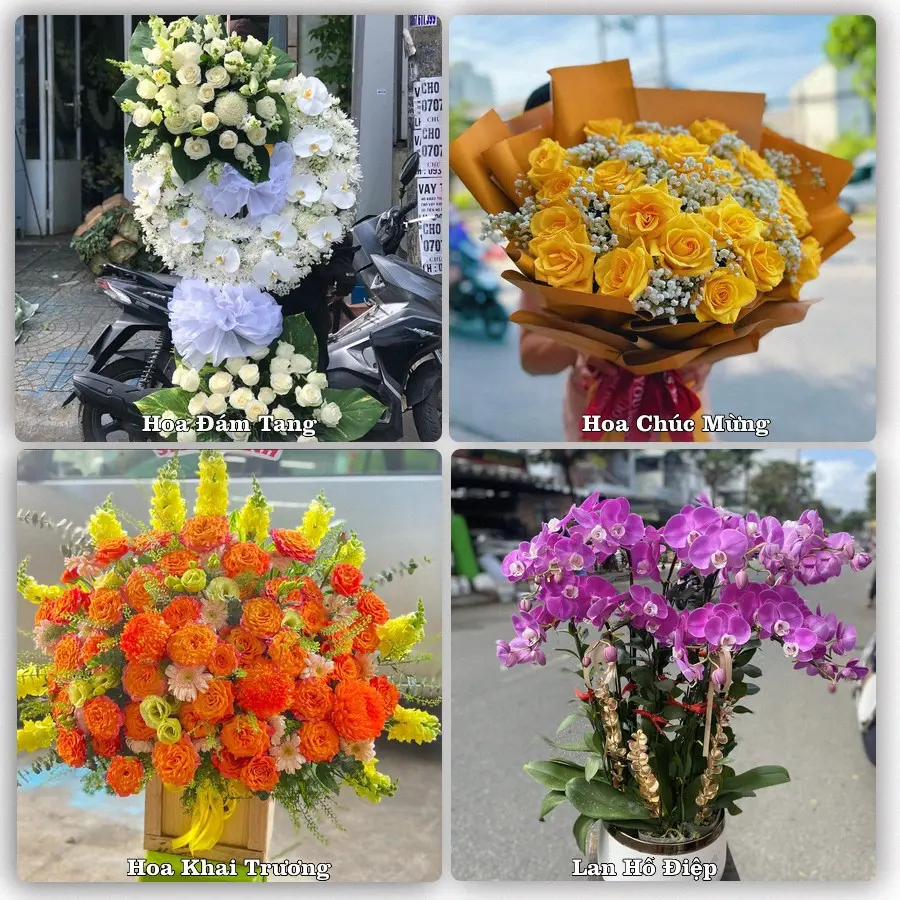 Tư vấn chọn hoa theo người nhận và dịp tặng tại Xã Mỹ Yên - Tỉnh Tây Ninh