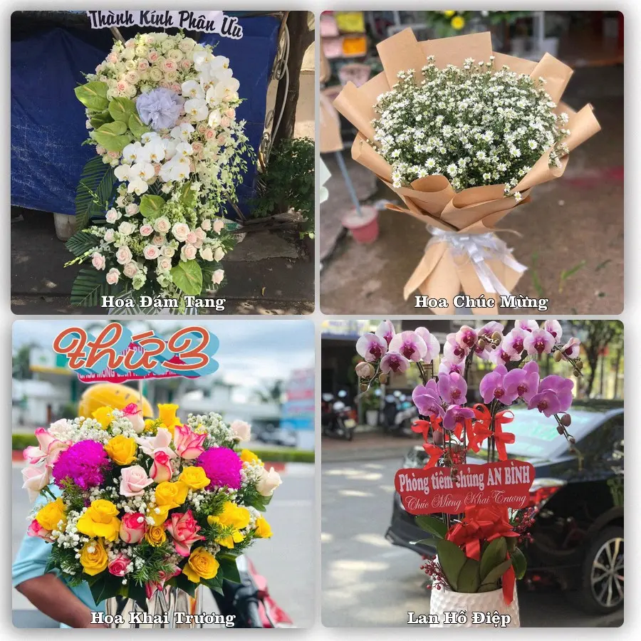 Mẫu hoa phục vụ nhu cầu đặt hoa tại Xã Quỳnh Văn - Tỉnh Nghệ An
