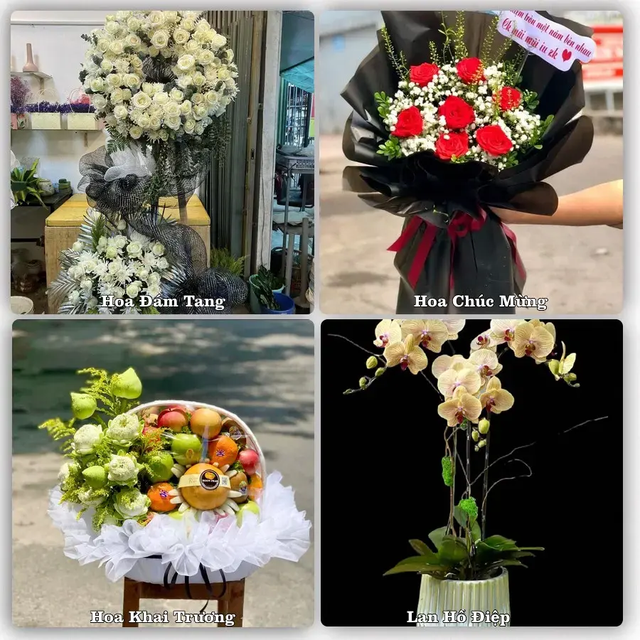Tư vấn chọn hoa theo người nhận và dịp tặng tại Xã Quỳnh Văn - Tỉnh Nghệ An