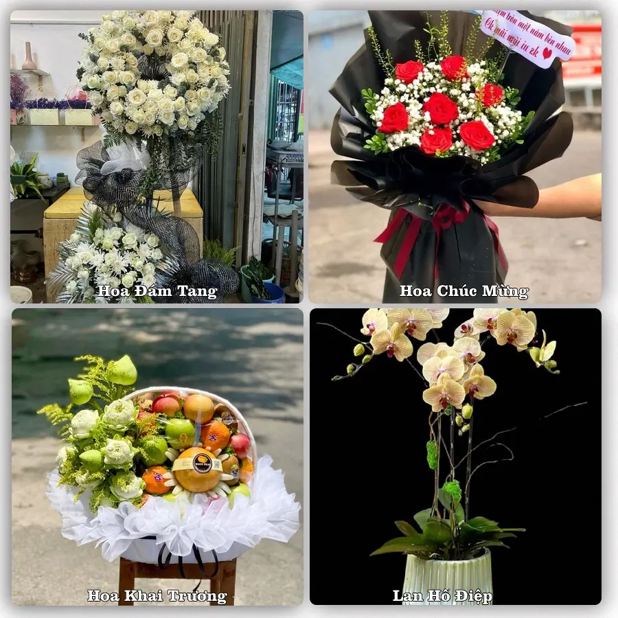 Tư vấn chọn hoa theo người nhận và dịp tặng tại Xã Quỳnh Văn - Tỉnh Nghệ An