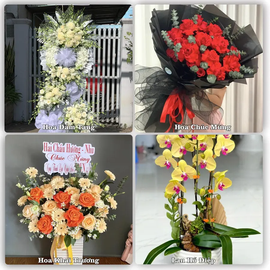 Tư vấn chọn hoa theo người nhận và dịp tặng tại Xã Sơn Đông - Tỉnh Phú Thọ