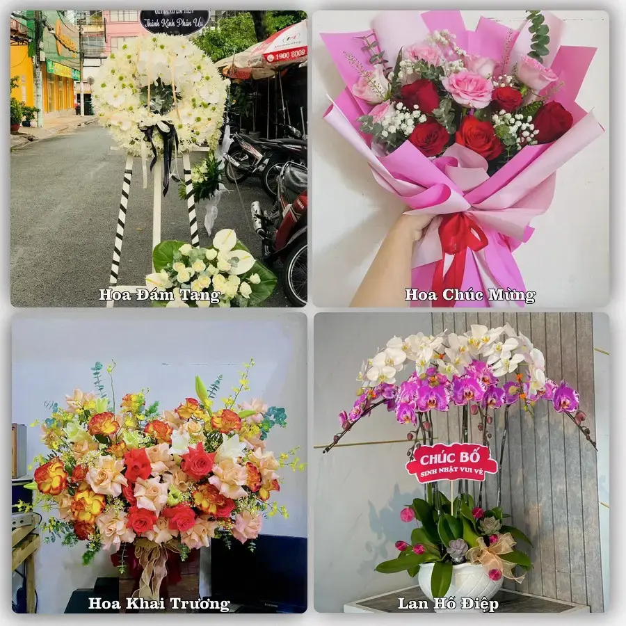 Dịch vụ đặt hoa và giao tận nơi tại Phường Tân Lộc - Thành phố Cần Thơ