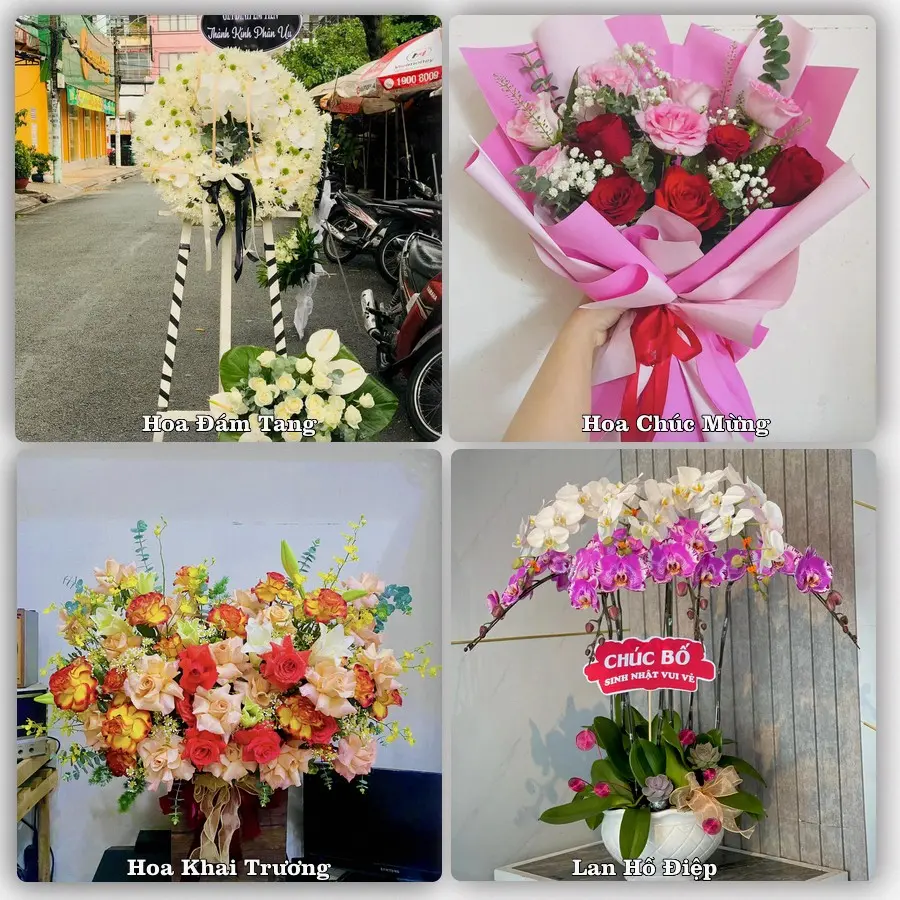 Dịch vụ đặt hoa và giao tận nơi tại Phường Tân Lộc - Thành phố Cần Thơ