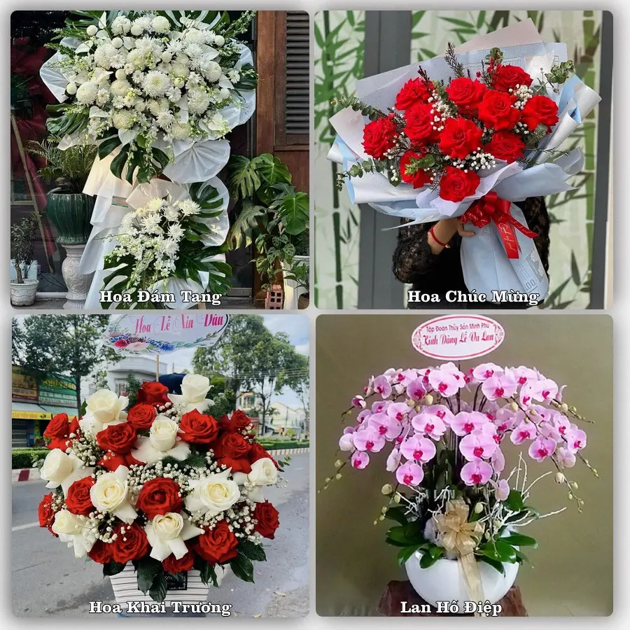 Tư vấn chọn hoa theo người nhận và dịp tặng tại Phường Tân Lộc - Thành phố Cần Thơ