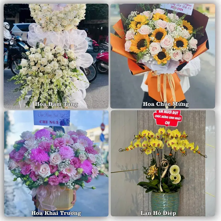 Shop hoa tươi Phường Thành Nhất, Đắk Lắk – giao hoa tận nơi theo yêu cầu