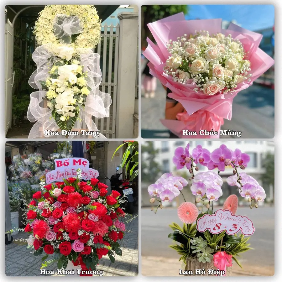 Tư vấn chọn hoa theo người nhận và dịp tặng tại Phường Thành Nhất - Tỉnh Đắk Lắk