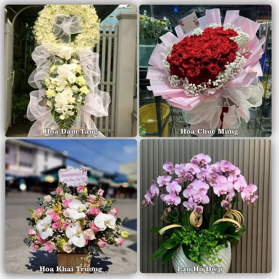 Dịch vụ đặt hoa và giao tận nơi tại Phường Vinh Hưng - Tỉnh Nghệ An