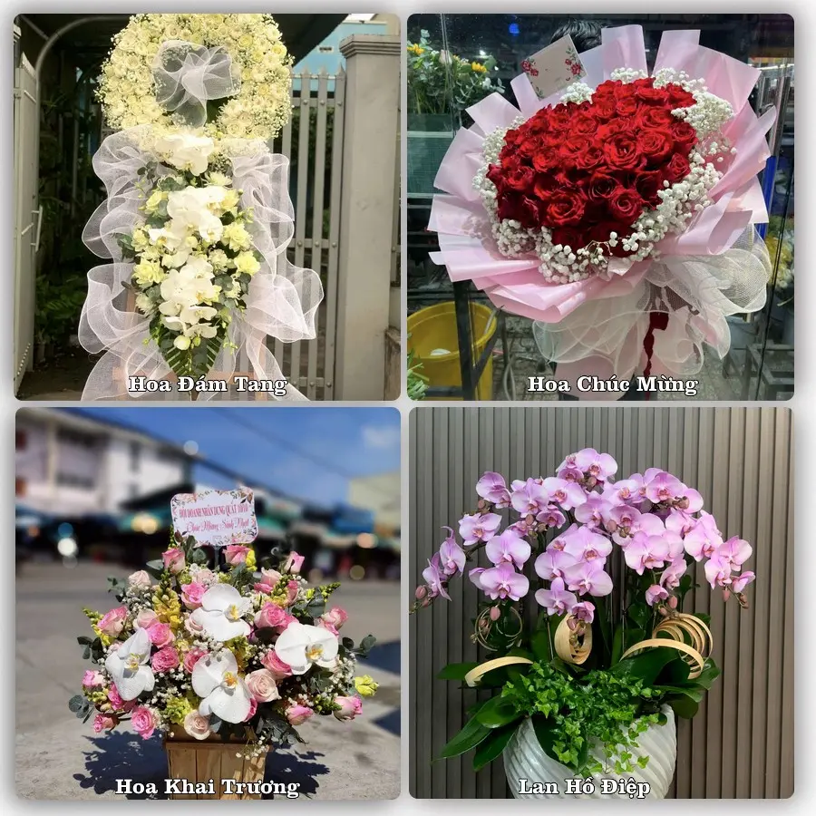Dịch vụ đặt hoa và giao tận nơi tại Phường Vinh Hưng - Tỉnh Nghệ An