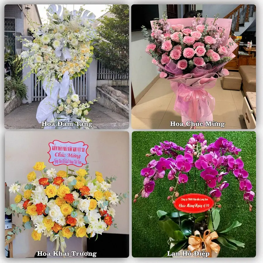 Tư vấn chọn hoa theo người nhận và dịp tặng tại Phường Vinh Hưng - Tỉnh Nghệ An