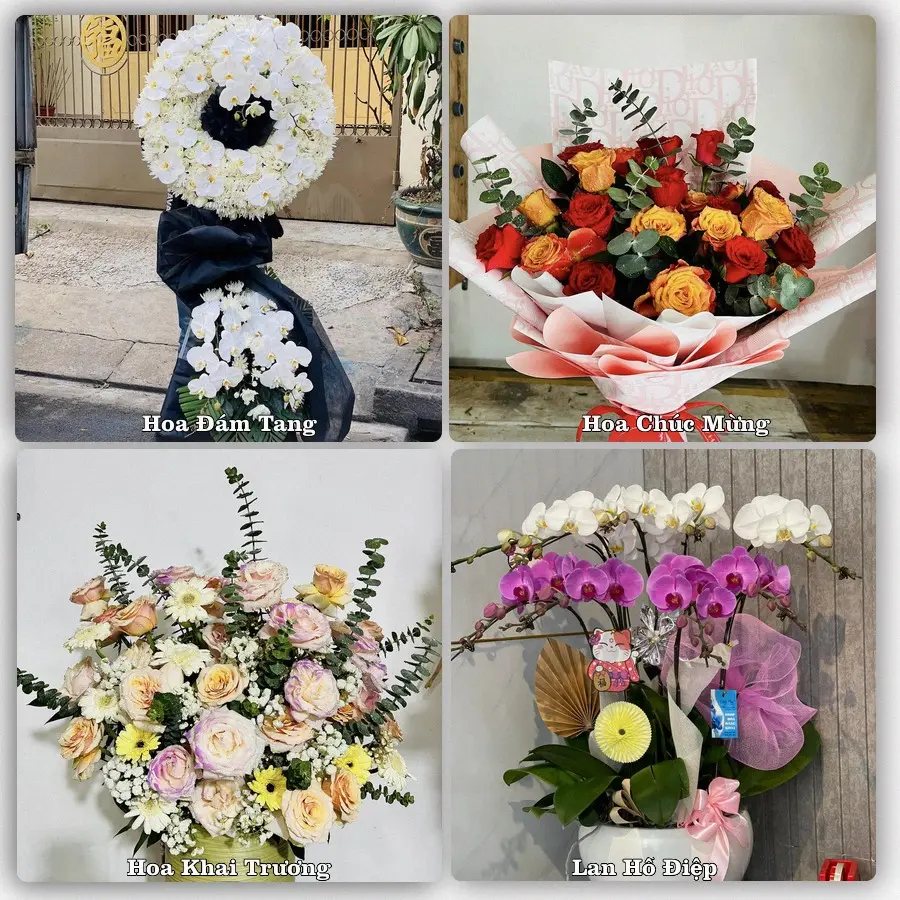 Tư vấn chọn hoa theo người nhận và dịp tặng tại Xã An Lạc Thôn - Thành phố Cần Thơ