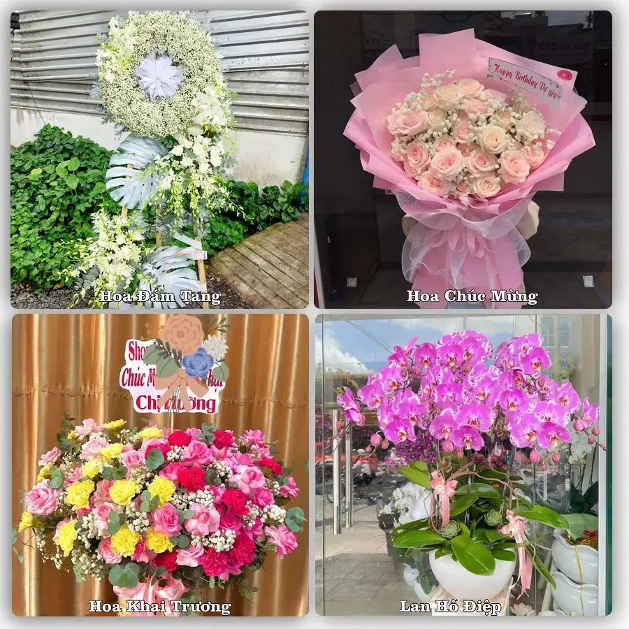 Đặt hoa tươi tại Xã Gia Bình, Bắc Ninh – chọn mẫu theo ngân sách
