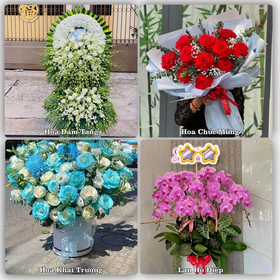Tư vấn chọn hoa theo người nhận và dịp tặng tại Xã Hà Bắc - Thành phố Hải Phòng