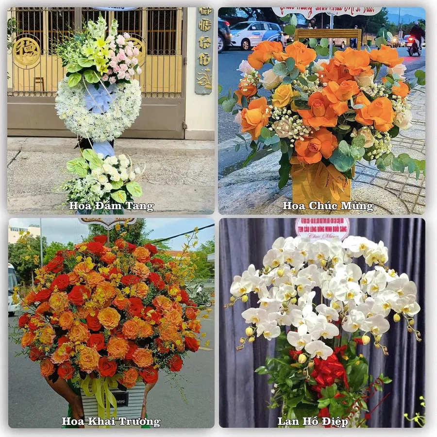 Tư vấn chọn hoa theo người nhận và dịp tặng tại Phường Nam Sầm Sơn - Tỉnh Thanh Hóa